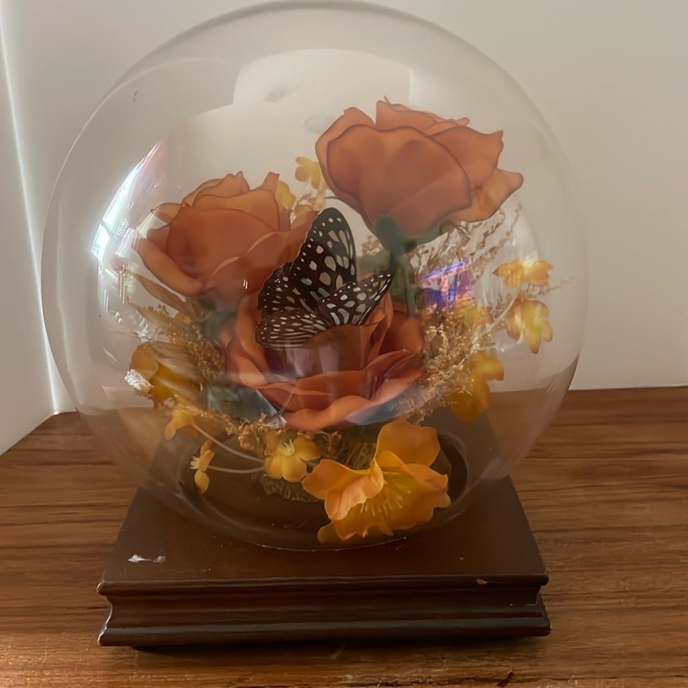 Vintage 1970’s Faux Flower and Taxidermy Butterfly.